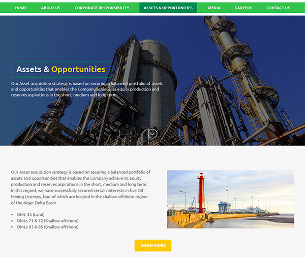 Website Design for First EPDC – Information Page
